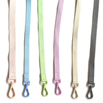 Conjunto de coleira para animais de estimação, série macaron, cabeça dupla, ajustável, colete para cães pequenos e médios, moda para animais de estimação