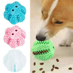 Bola Interativa Cães