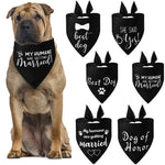 Bandana Casamento Canina