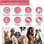 Brinquedo Inteligente Cães