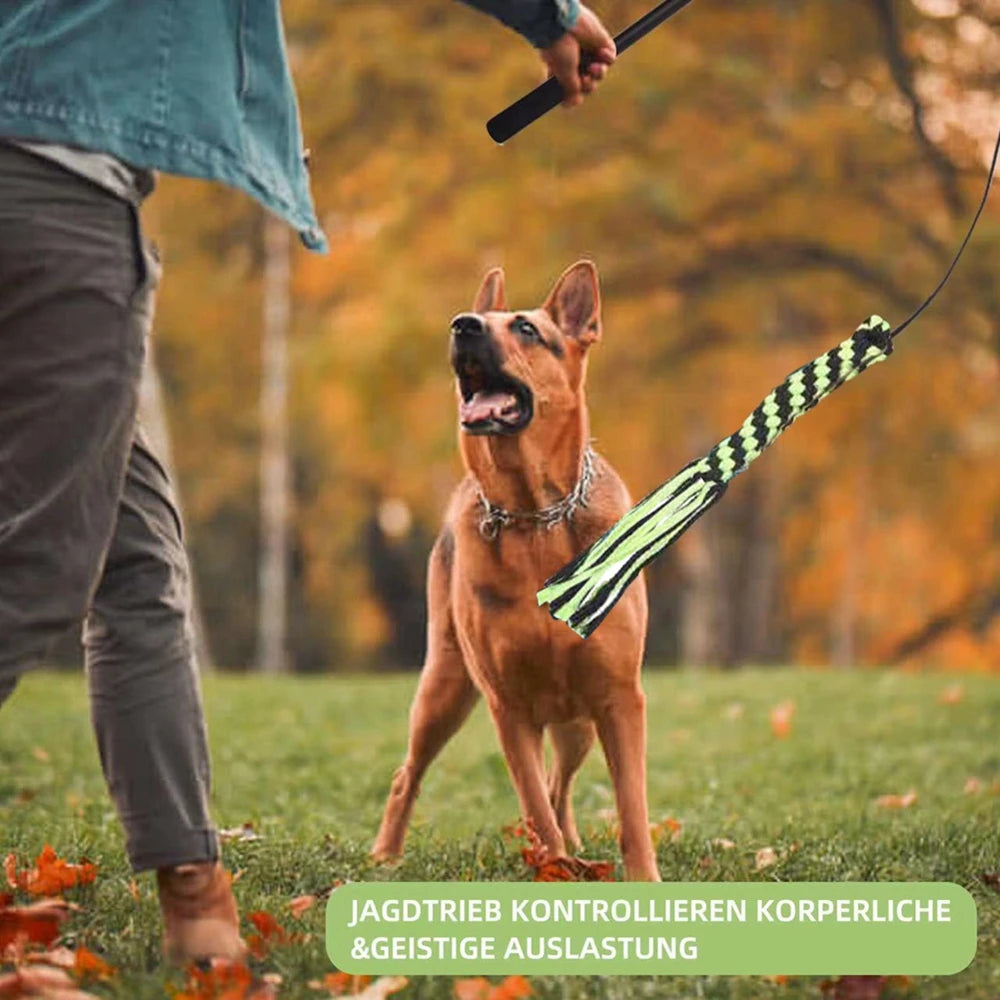 Brinquedo Interativo Cães