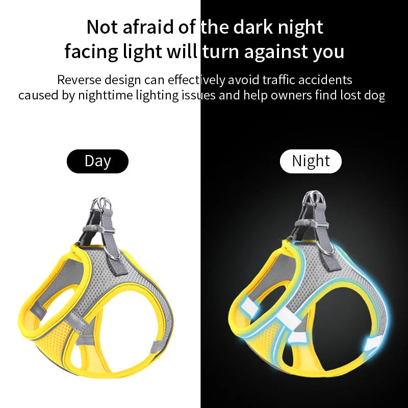 Conjunto de coleira para cães pequenos, coleira ajustável para cachorros e gatos, buldogue francês, chihuahua, pug, caminhada ao ar livre