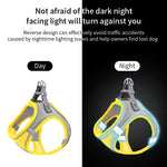 Conjunto de coleira para cães pequenos, coleira ajustável para cachorros e gatos, buldogue francês, chihuahua, pug, caminhada ao ar livre