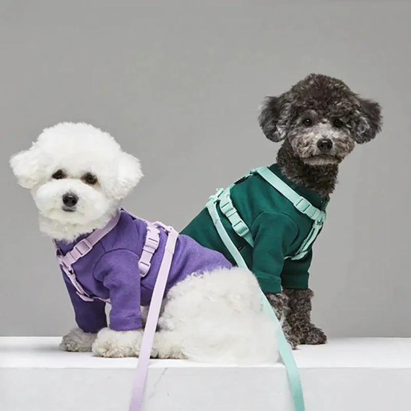 Conjunto de coleira para animais de estimação, série macaron, cabeça dupla, ajustável, colete para cães pequenos e médios, moda para animais de estimação