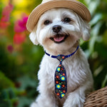 Gravatas Pet Elegantes