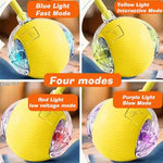 Bola Interativa Cães