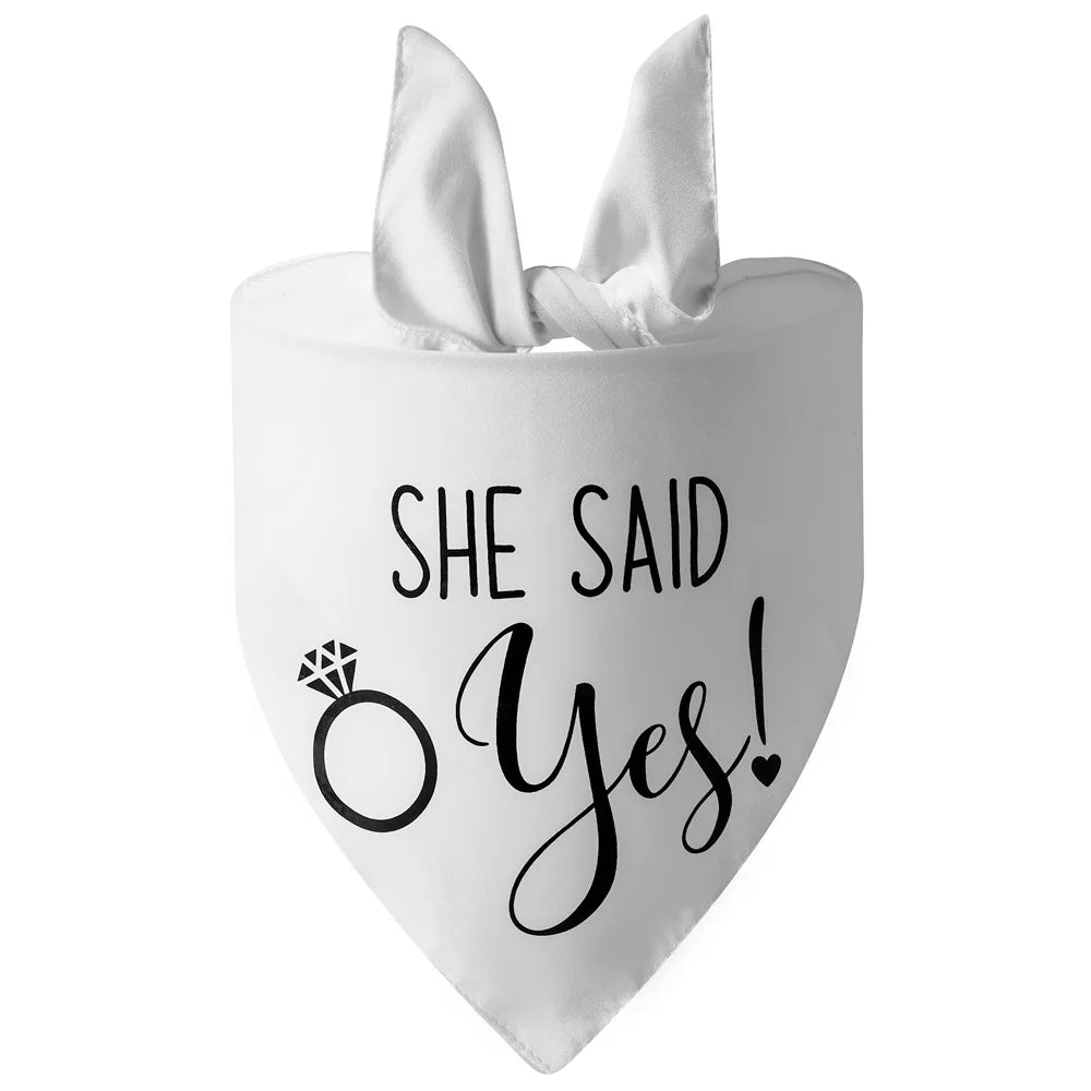 Bandana Casamento Canina