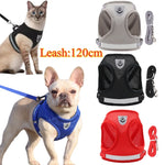 Conjunto de arnês e coleira para cães de estimação, malha ajustável, suprimentos para gatos, coleira, filhote de cachorro, buldogue, corgi, acessórios para cães