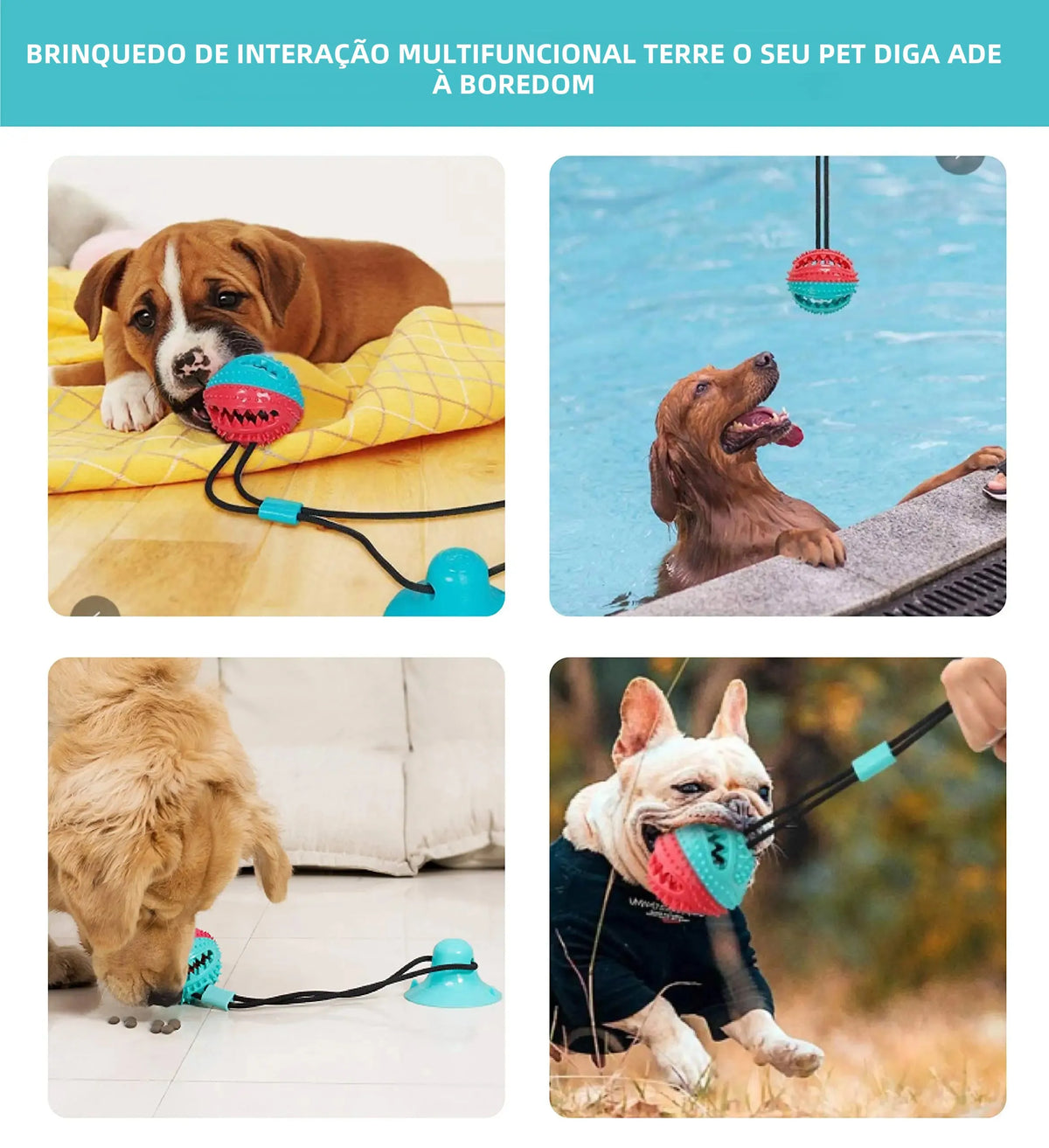 Brinquedo Interativo Cães