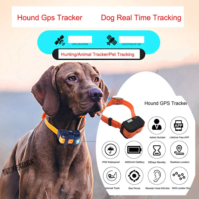 Pet Tracker Coleira para cães, rastreamento em tempo real IP67 impermeável, localizador de cães de médio e grande porte