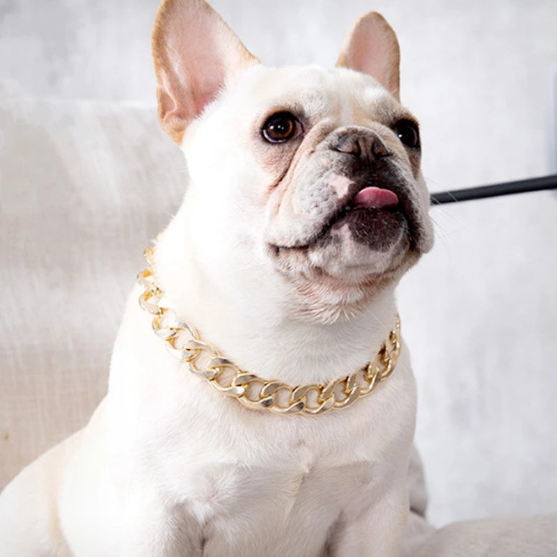 Coleiras banhadas a plástico dourado para cães, corrente galvanizada para cães para pitbull, joias da moda, acessórios para cães para buldogue francês