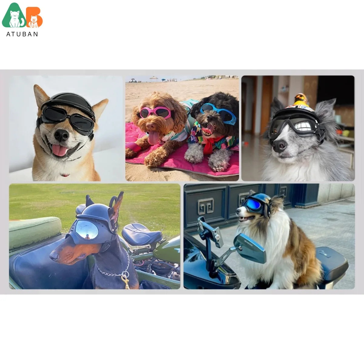Óculos de Sol e Capacete Atuban para Cães, Proteção UV, Chapéu Sport, Windproof, Snowproof, Pet Riding, Cães Grandes