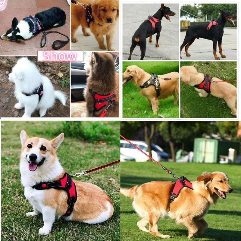 Arnês para cães pequenos, médios e grandes, colete forte para cães, pet shop, tudo para cães, golden retriever, chihuahua, acessórios