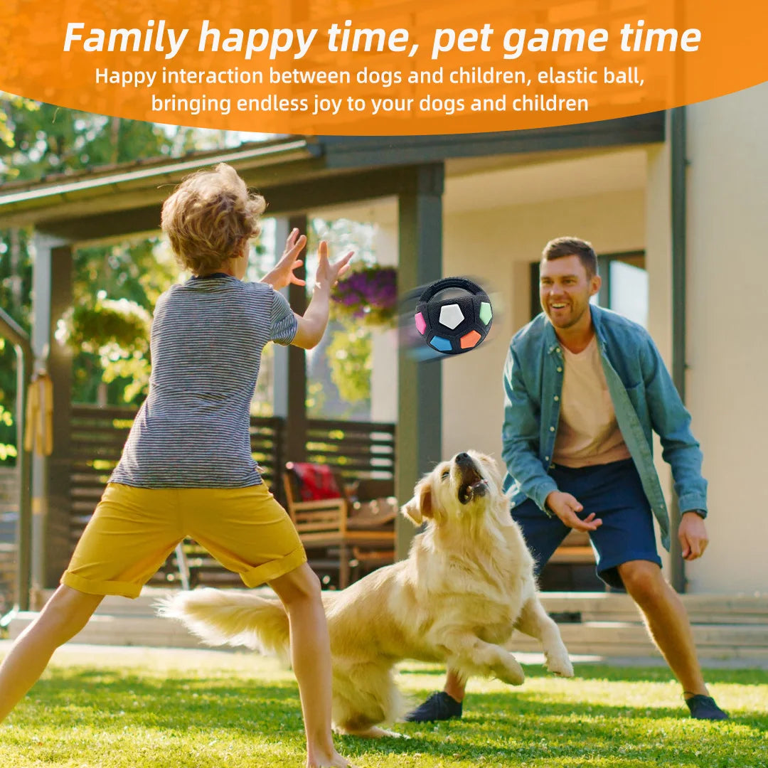 Bola Interativa Cães