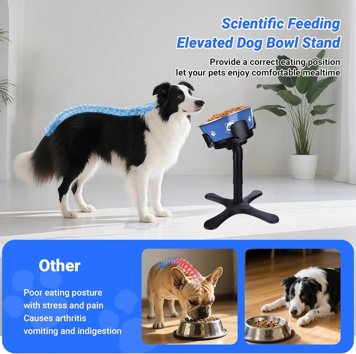 Suporte Elevado Ajustável