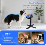 Suporte Elevado Ajustável