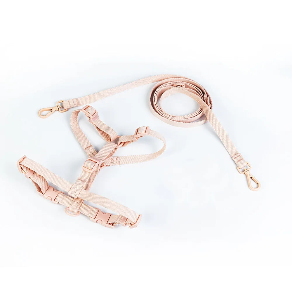 Conjunto de coleira para animais de estimação, série macaron, cabeça dupla, ajustável, colete para cães pequenos e médios, moda para animais de estimação