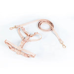 Conjunto de coleira para animais de estimação, série macaron, cabeça dupla, ajustável, colete para cães pequenos e médios, moda para animais de estimação