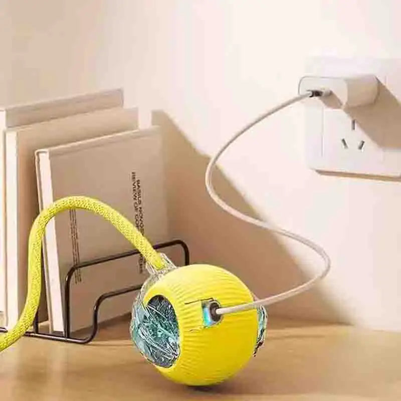 Bola Interativa Cães