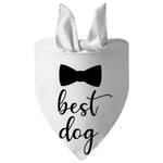 Bandana Casamento Canina