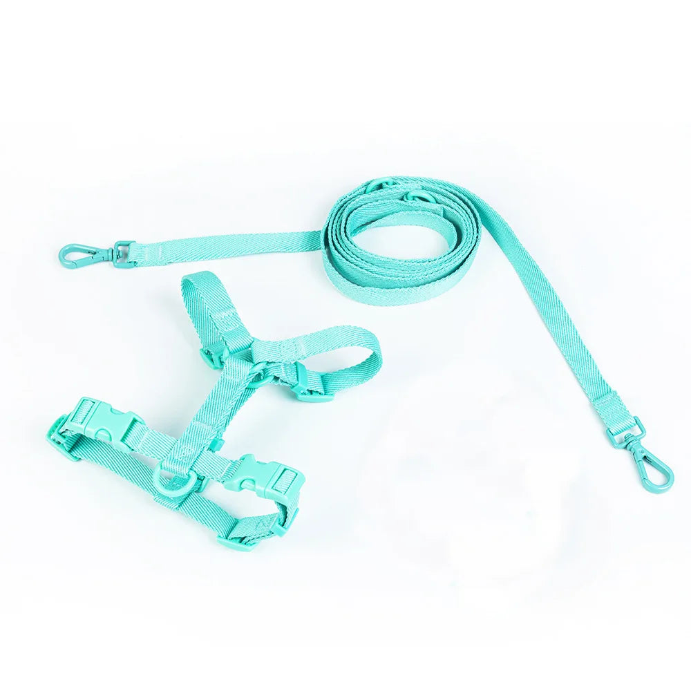 Conjunto de coleira para animais de estimação, série macaron, cabeça dupla, ajustável, colete para cães pequenos e médios, moda para animais de estimação