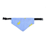 Bandana Pet Charmosa