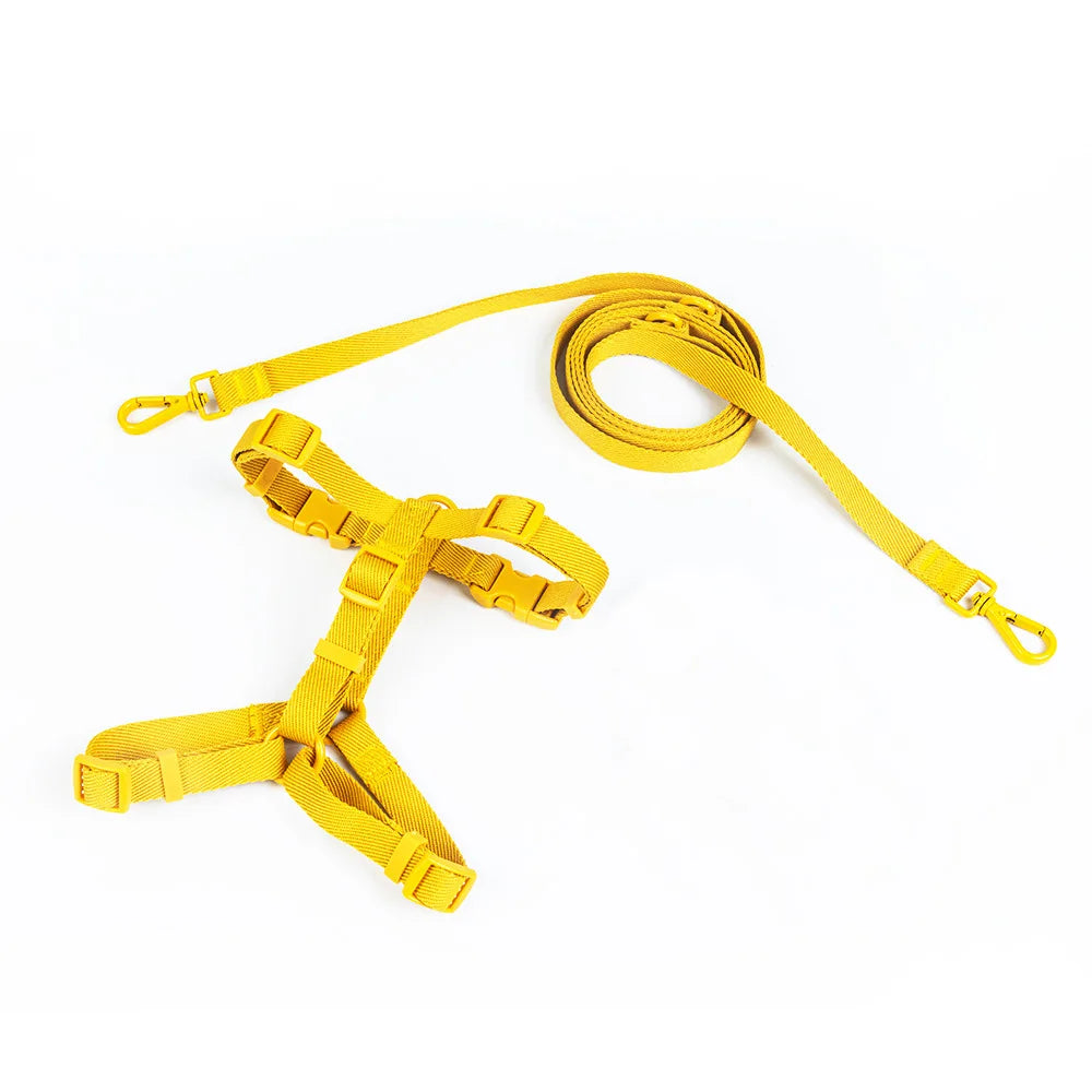 Conjunto de coleira para animais de estimação, série macaron, cabeça dupla, ajustável, colete para cães pequenos e médios, moda para animais de estimação