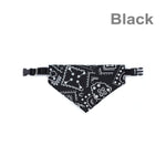 Bandana Pet Charmosa