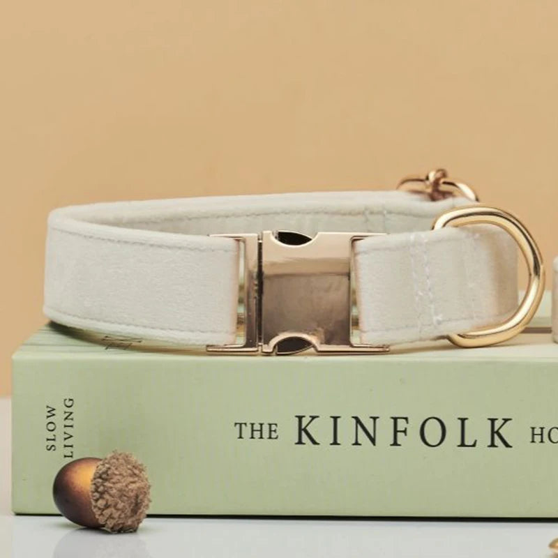 Coleira de cachorro premium personalizada de veludo de várias cores, trela personalizada gravada com placa de nome de animal de estimação, fivela de metal, presente de casamento para cachorro