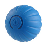 Bola Interativa Canina