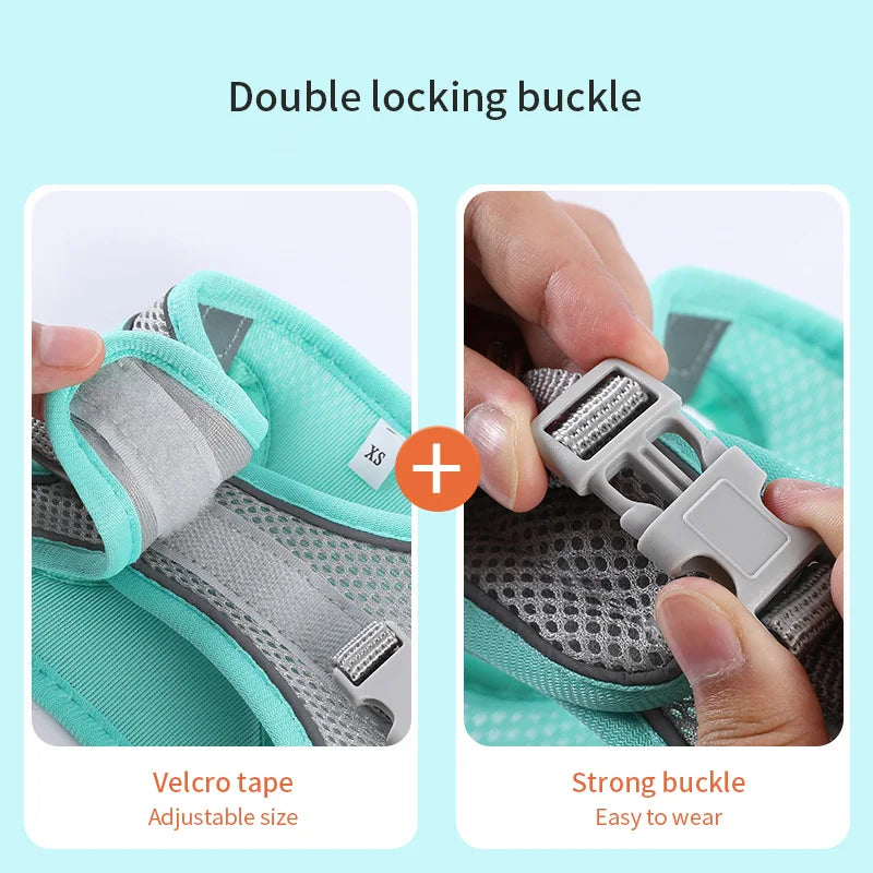 Conjunto de coleira para cães pequenos, coleira ajustável para cachorros e gatos, buldogue francês, chihuahua, pug, caminhada ao ar livre