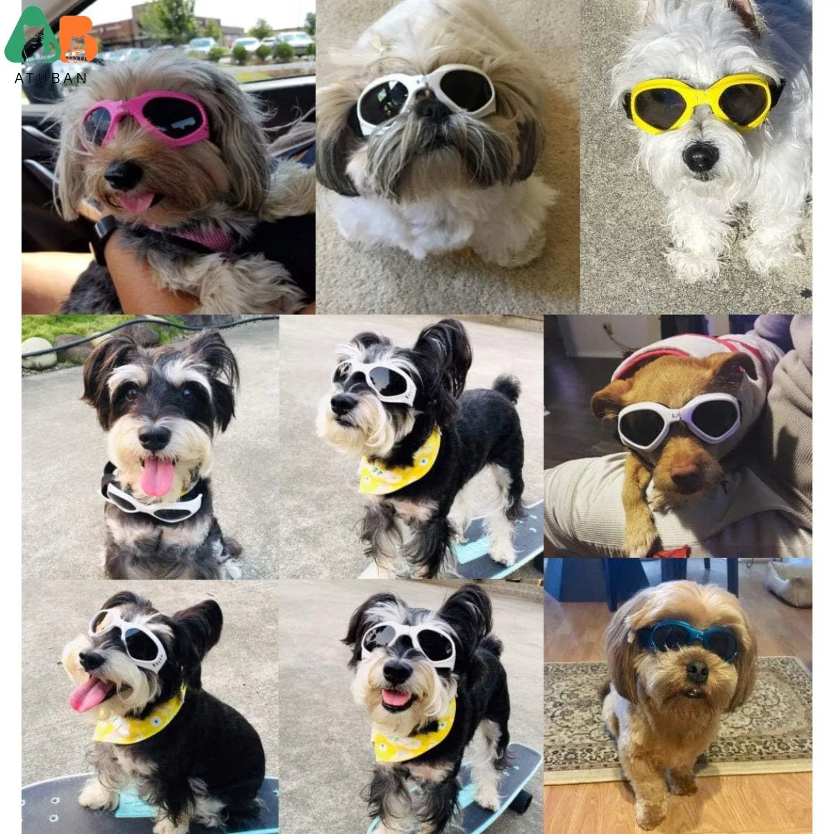 ATUBAN Óculos de sol para cães pequenos, à prova d'água, à prova de vento, proteção UV, óculos de sol para animais de estimação, motocicleta para cachorrinho, gato (VERMELHO)