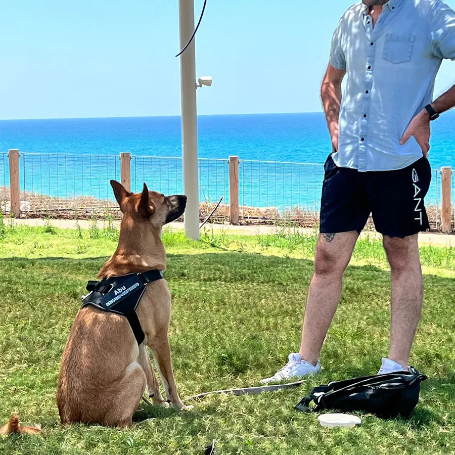 Arnês do cão nenhuma tração reflexiva respirável ajustável do animal de estimação para o cão colete id remendo personalizado ao ar livre caminhadas suprimentos do cão