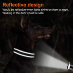 Coleira de cachorro reflexiva ajustável náilon personalizado gravado nome id tag personalizado luminoso filhote de cachorro brilhante grande unisex coleira de cachorro