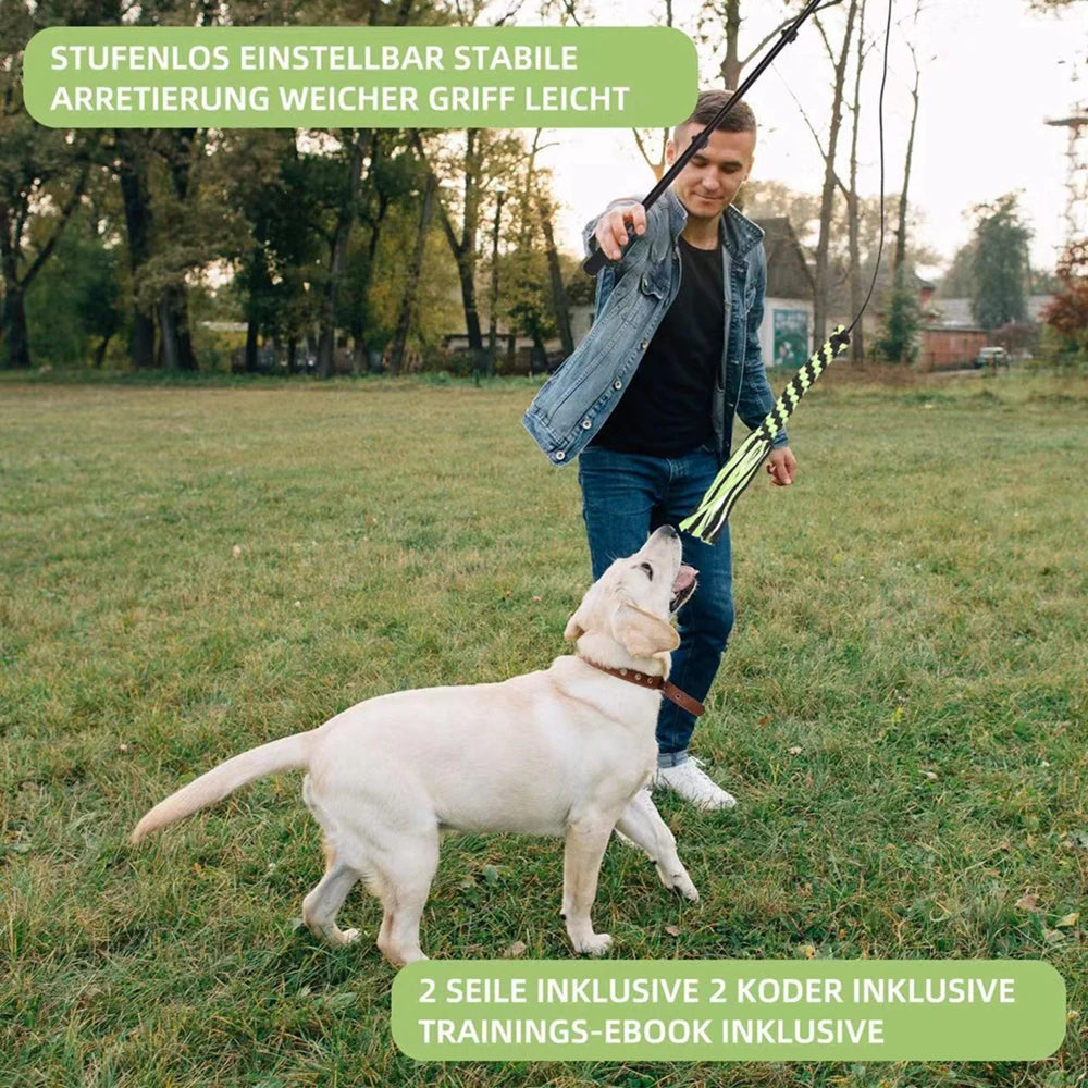 Brinquedo Interativo Cães