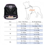 Conjunto de arnês e coleira para cães de estimação, malha ajustável, suprimentos para gatos, coleira, filhote de cachorro, buldogue, corgi, acessórios para cães