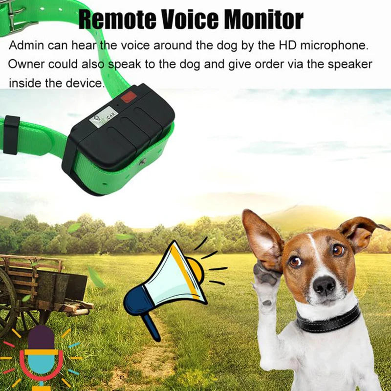 Pet Tracker Coleira para cães, rastreamento em tempo real IP67 impermeável, localizador de cães de médio e grande porte
