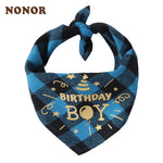 Bandana Aniversário Pet
