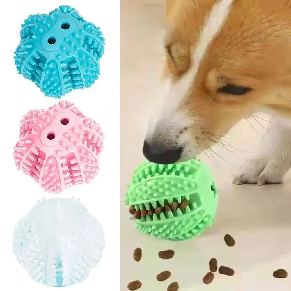 Bola Interativa Cães