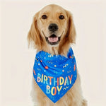 Babador Aniversário Pet