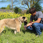 Garrafa Portátil Pet