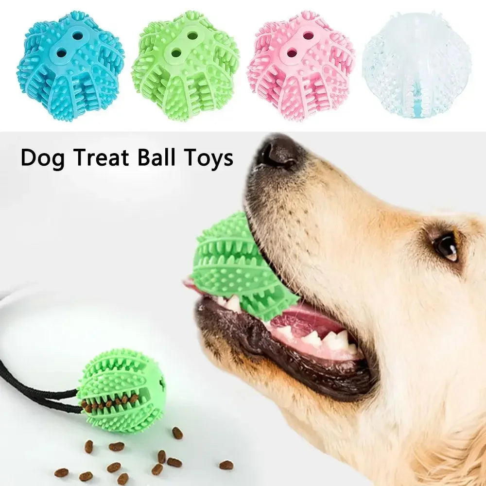 Bola Interativa Cães