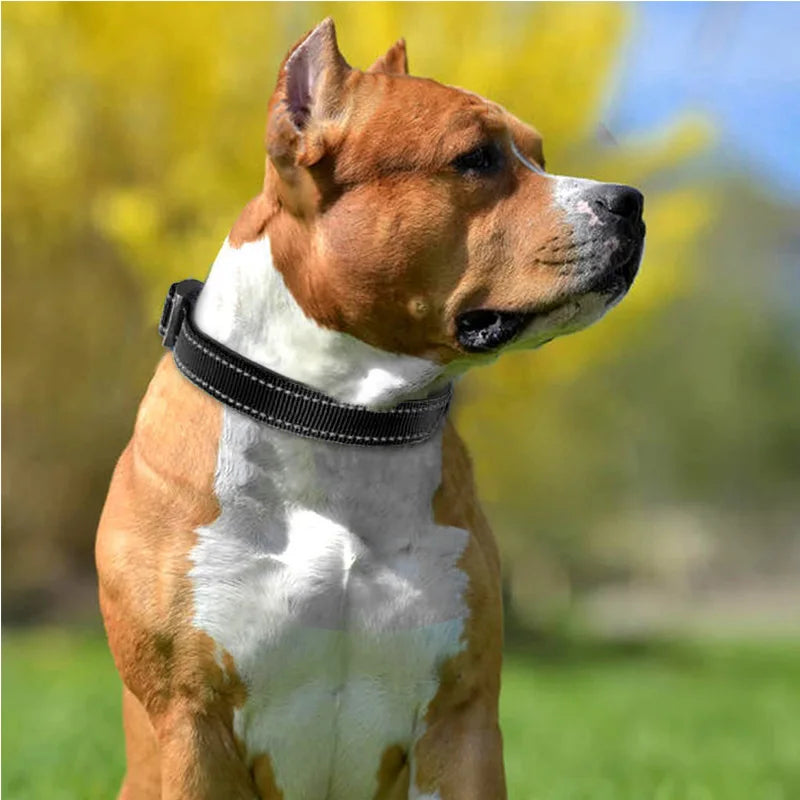 Coleira reflexiva para cães médios e grandes, coleira acolchoada de neoprene macio, resistente, ajustável, suprimentos para coleira de animais de estimação