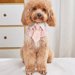 Babador Elegante Pet