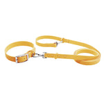 Combinação de coleira de cachorro à prova d'água com sensação de silicone - chumbo de cabeça dupla de PVC com fivela ajustável, multicolorido para animais de estimação ao ar livre