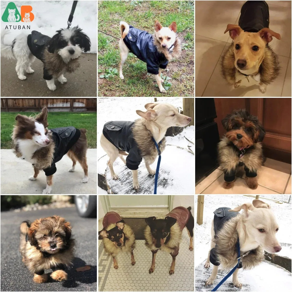 Atuban casacos de couro do cão à prova dwaterproof água casaco de inverno do cão filhote de cachorro jaquetas para cães de pequeno a médio roupas para animais de estimação roupas para cães de inverno