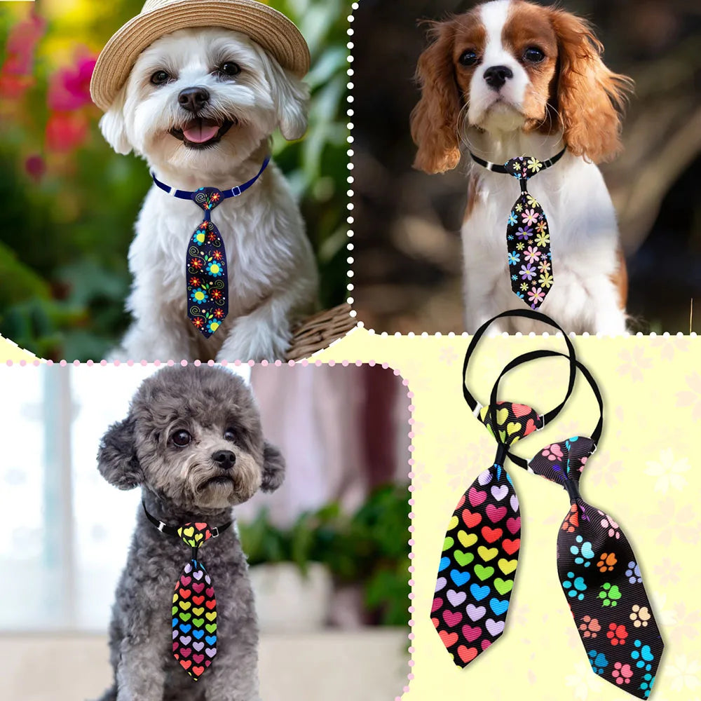 Gravatas Pet Elegantes