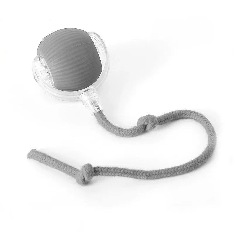 Bola Interativa Cães