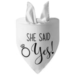 Bandana Casamento Canina