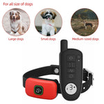 Impermeável choque elétrico Dog Training Collar, som de vibração, colar de casca para cães pequenos, médios, grandes, 1000 pés